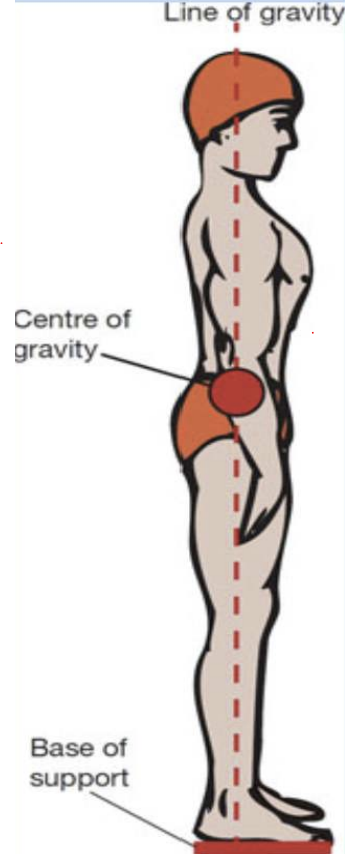 <p>Line of Gravity</p>