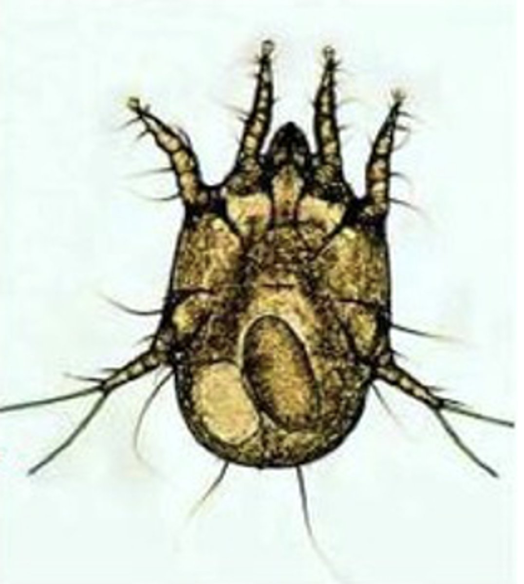 <p>?</p>