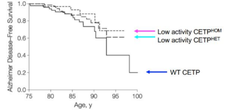 <p>Low activity CETP leads to higher chances of Alzheimer’s disease free survival</p>