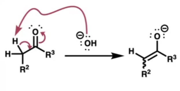 <p>the base attacks an alpha proton reforms an alkene and gives O a negative charge</p>