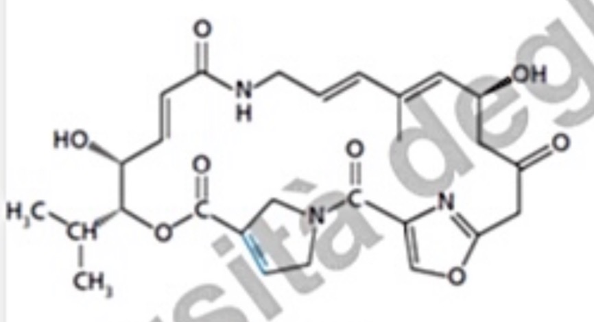 <p>Streptogramine A</p>