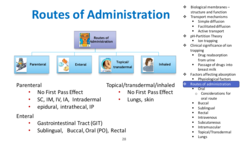 Oral (in mouth), Buccal (b/t cheek and gums), Topical (locally and systematic absorption minimal, skin), Mucosal (mucous mems), Sublingual (under tongue), Transdermal (continuous slow absorption), Inhalation