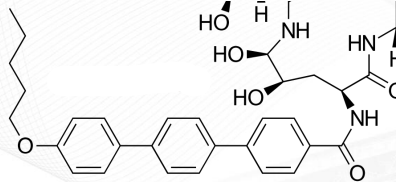 <p>ECHINOCANDINS</p>