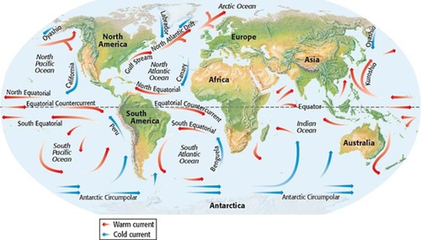 <p>Currents that originate in high latitudes can greatly modify the temperatures of coastal areas as far inland as 100 km.</p>