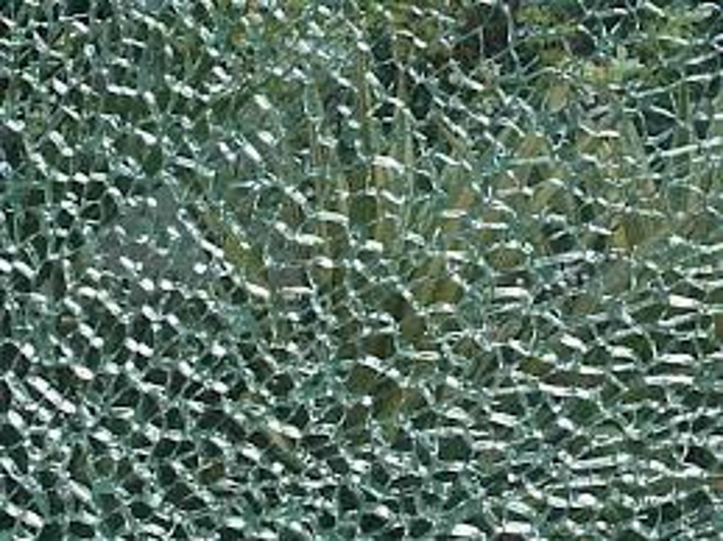 <p>glass that is strengthened by introducing stress through rapid heating and cooling of the glass surfaces (Heat strengthening)</p>