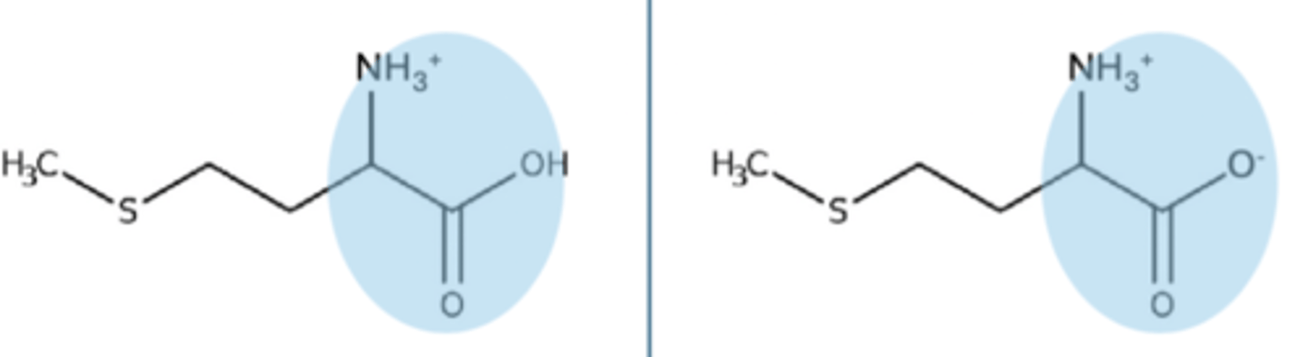 <p>pKa is 2, if it is a pH above, it will lose a hydrogen</p>