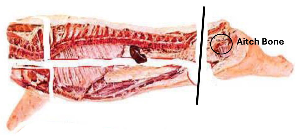 <p>Cut 3-4 rib → shoulder, cut above sternum → Boston Butt (roast or sausage trim) & Picnic Shoulder (sausage trim or chop)</p><p>Cut Aitch Bone → leg (cured ham or trim for sausage)</p><p>Scapula on shoulder end and to bottom of chop on leg end → separate loin from belly</p>