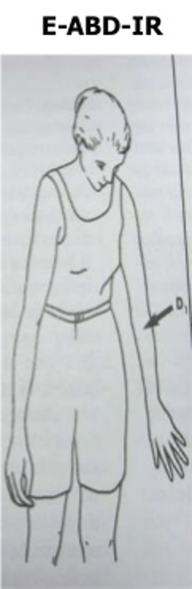 <p>Shoulder extension, shoulder abduction, shoulder IR, elbow extension</p>