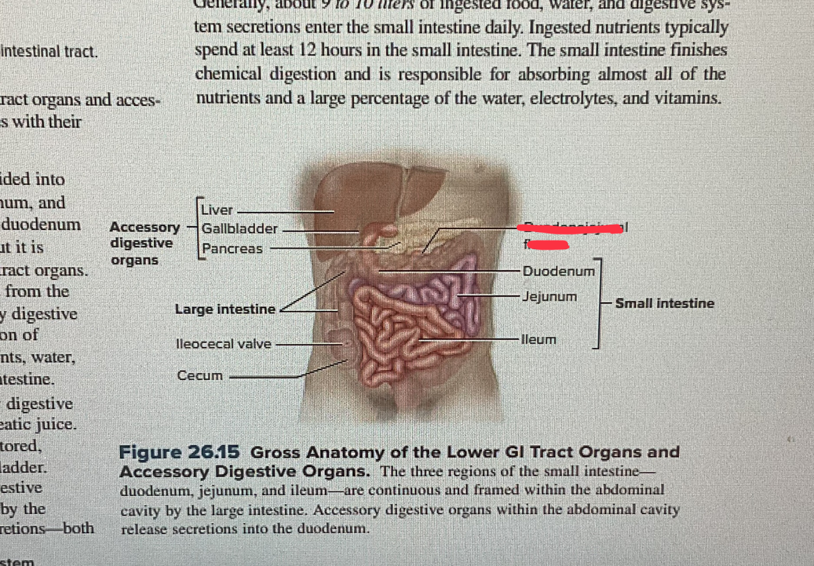 knowt flashcard image