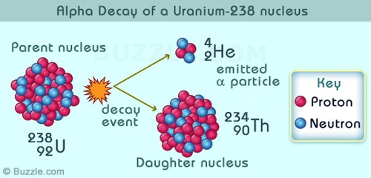 <p>Occurs when an atoms mass is too much therefore emits an alpha particle a Helium particle (2 protons, 2 neutrons)</p><p>Atomic number decreased by 2, mass decreased by 4.</p><p>For example, uranium-238 transforms into thorium-234.</p>