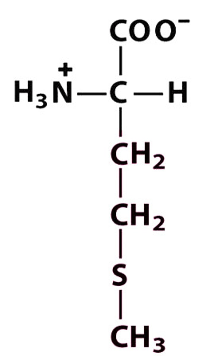 <p>Give the symbol, abbreviation, name of this amino acid</p>