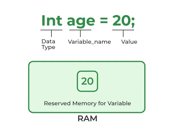 <p><mark data-color="yellow" style="background-color: yellow; color: inherit;">holds an object reference</mark>, which can be thought of as the of that object.</p><ul><li><p><span>named storage location in memory used to hold a value</span></p></li></ul><p></p>