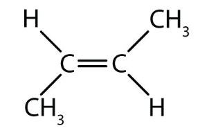 <p>what type of isomer is this? </p>