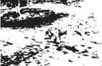 <p>an organized whole (the whole is different than some of its parts)</p><p>if you look at bits and pieces it’s random on a page, but if you organize them, you can see some shapes</p><p>form, pattern, or shape</p>