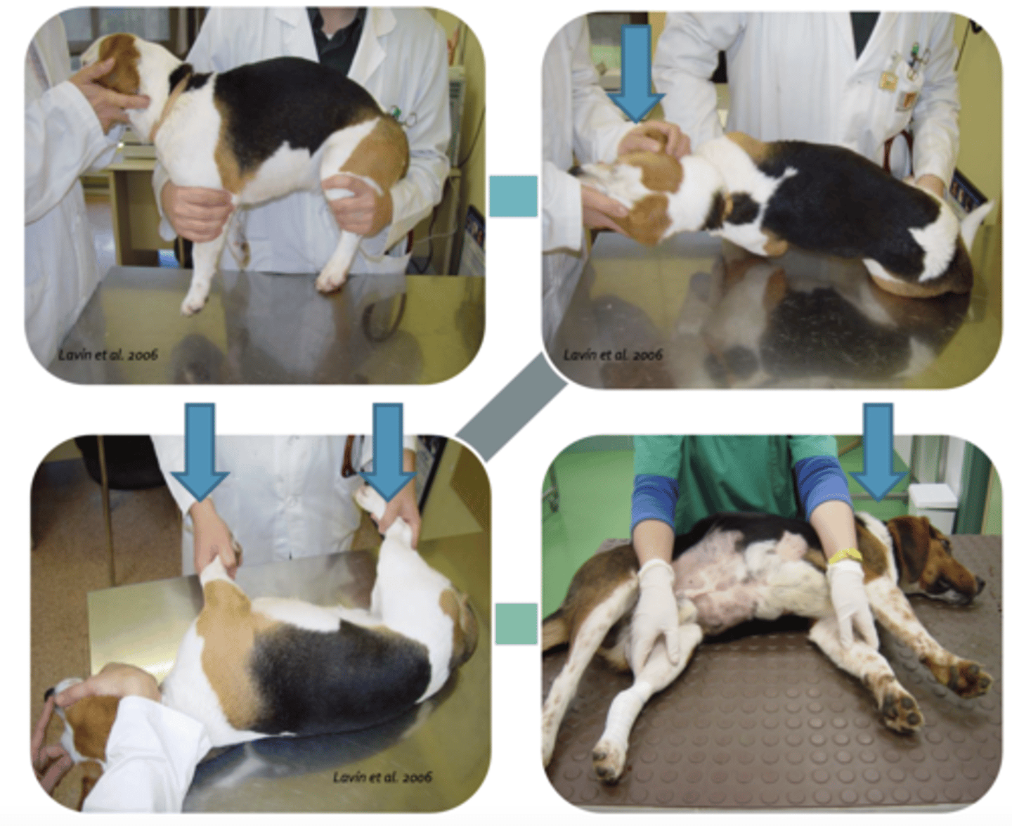 <p>what is this called?</p>