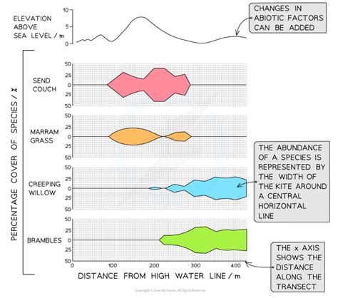 <p>Kite diagrams are used to visually show the abundance of of a species against land Distance along a transect line.</p><p>They are drawn in a way where for abundance they have the same on both sides of the y axis and the x axis intercepts it at the midpoint. And when plotting the number, you half the number you have then plot that new number on both sides.  So if there is 3 you go up 1.5 on both sides.</p>