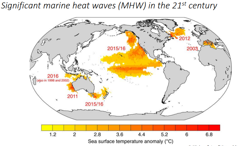 <p>Describe what heat waves are along with their severity:</p><p></p><p>Describe the location and cause of the “Blob” of 2015, and how it had far-reaching impacts on marine life along the west coast of N. America:</p>