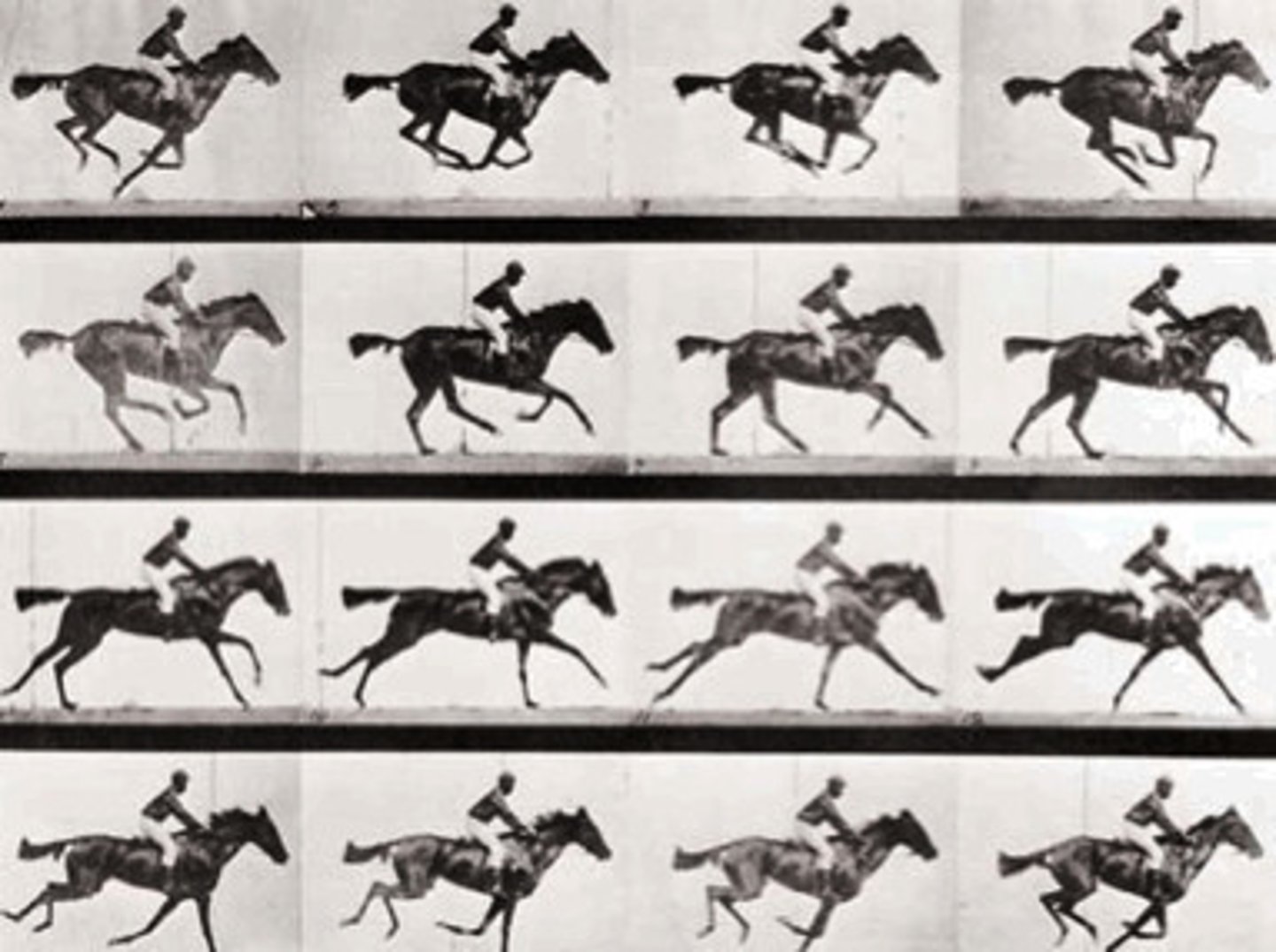 <p>/ˌləʊkəˈməʊʃən/ danh từ</p><p>sự di chuyển, sự vận động</p><p>Locomotion in animals is often studied in biology.</p><p>movement, motion, mobility</p><p>locomote (v)</p>