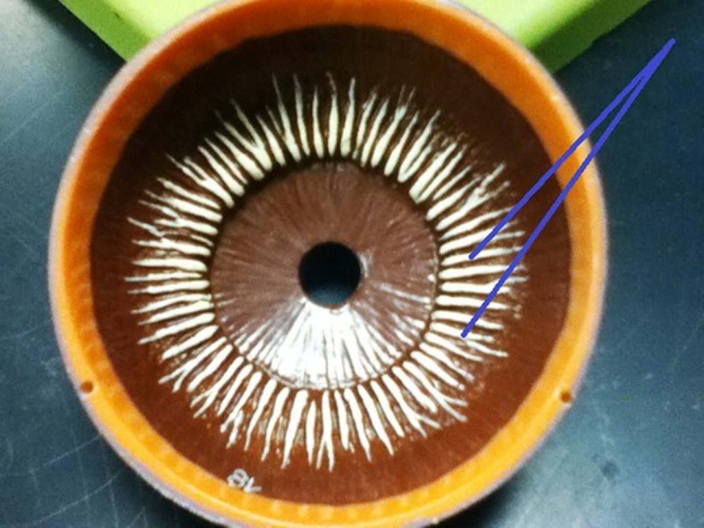 knowt flashcard image