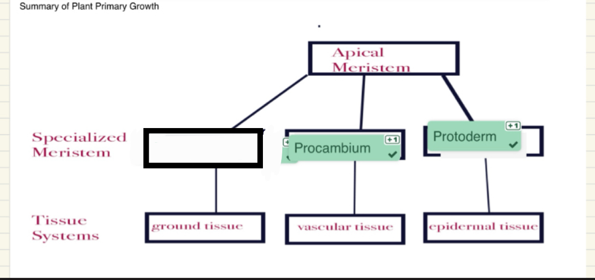 <p>What term is missing here?</p>