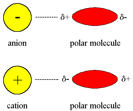 <p>Ion-Dipole </p>