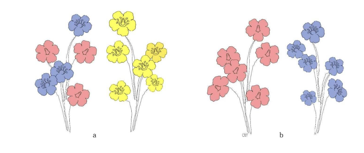 <p>Which are monoecious which are dioecious</p>