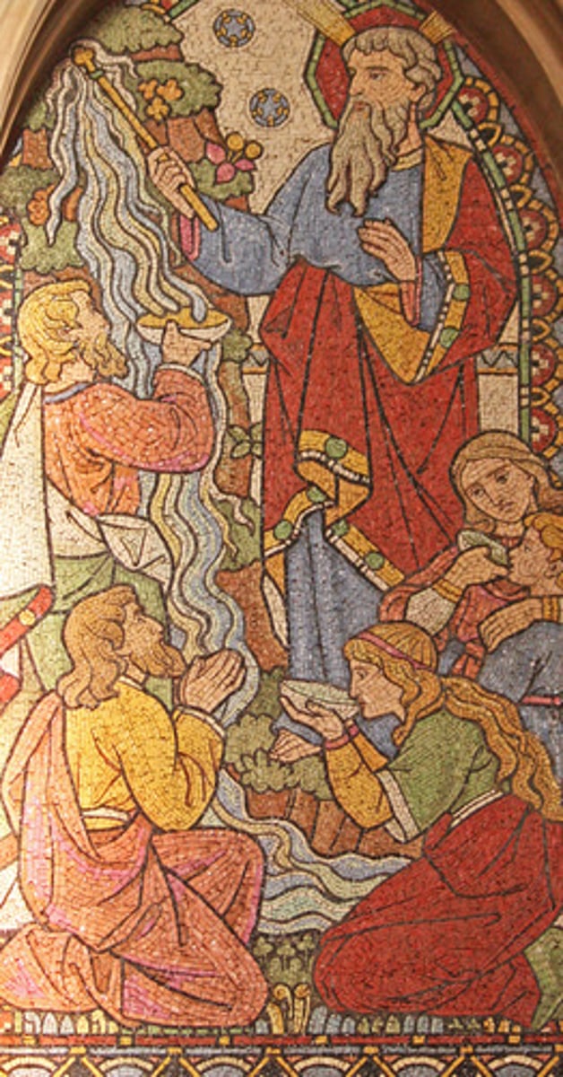 <p>The Jews; the people chosen by God to be his people and inherit the promises of Abraham.</p>