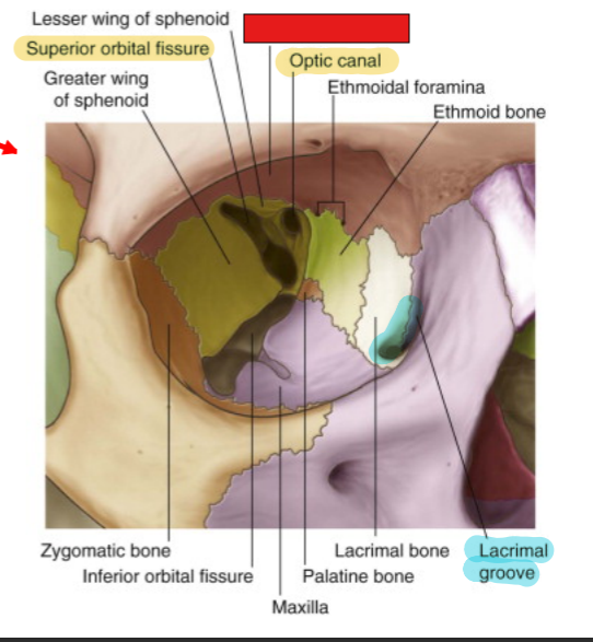 <p>fill in the red box:</p>