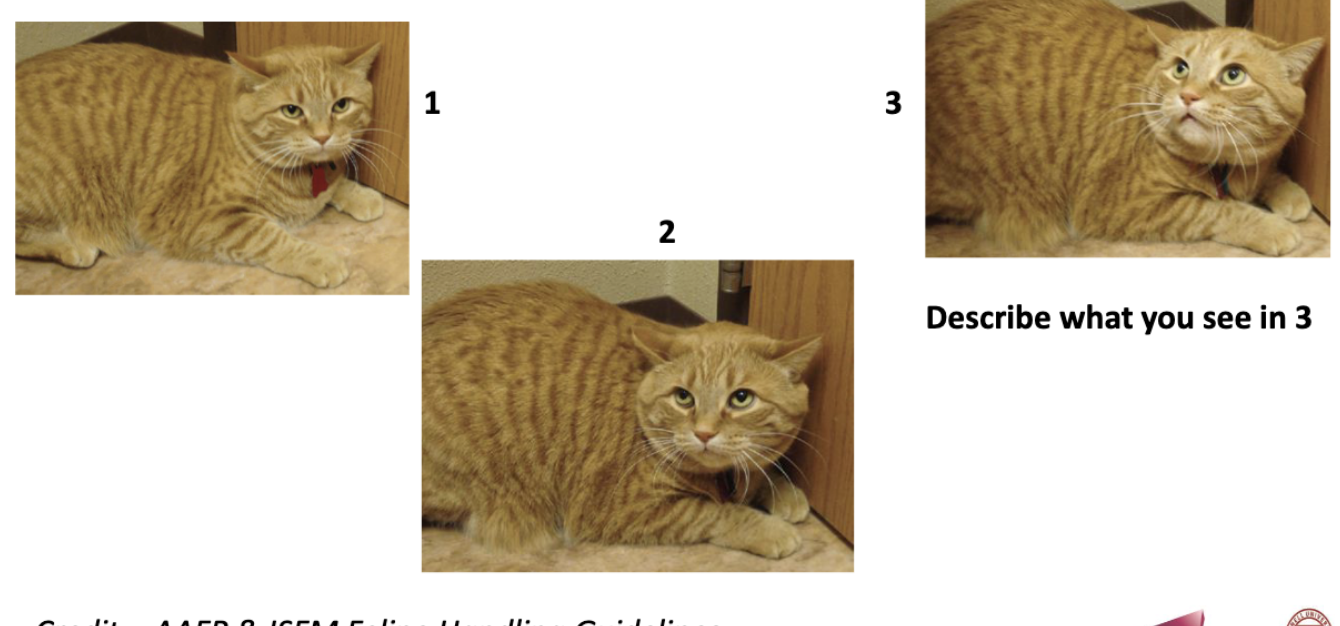 <p>what is happening in 2 & 3?</p>