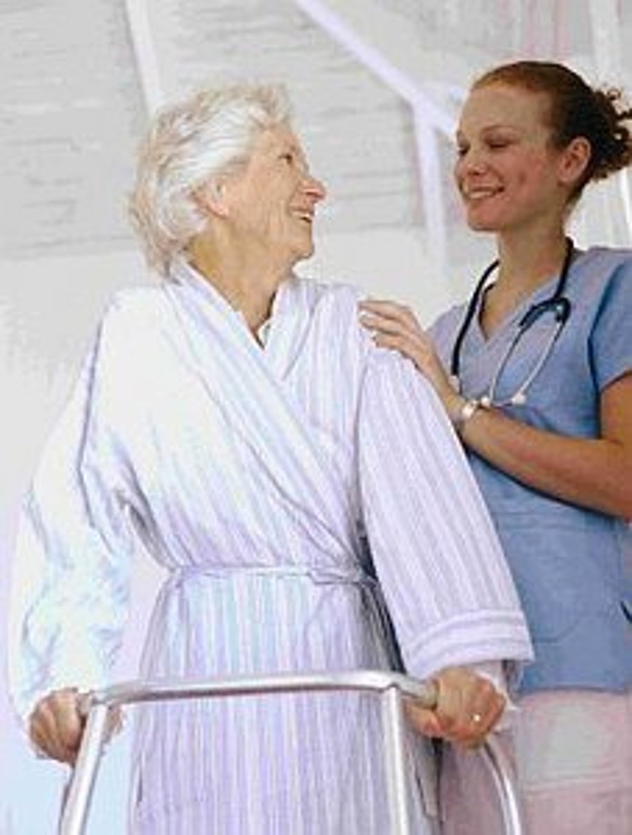 <p>to supervise/to guide</p>