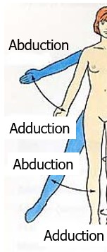 <p>abduction and adduction</p>