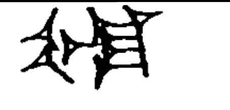term image