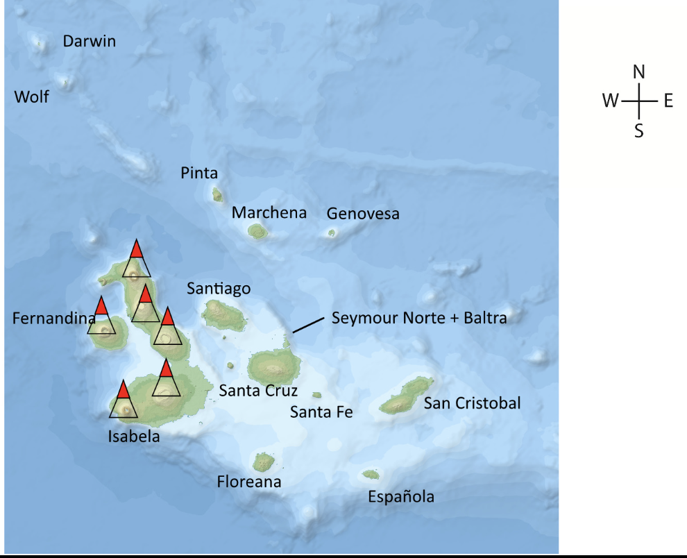 <p>Where is the plate moving in the Galapagos? What are the oldest and youngest islands?</p>