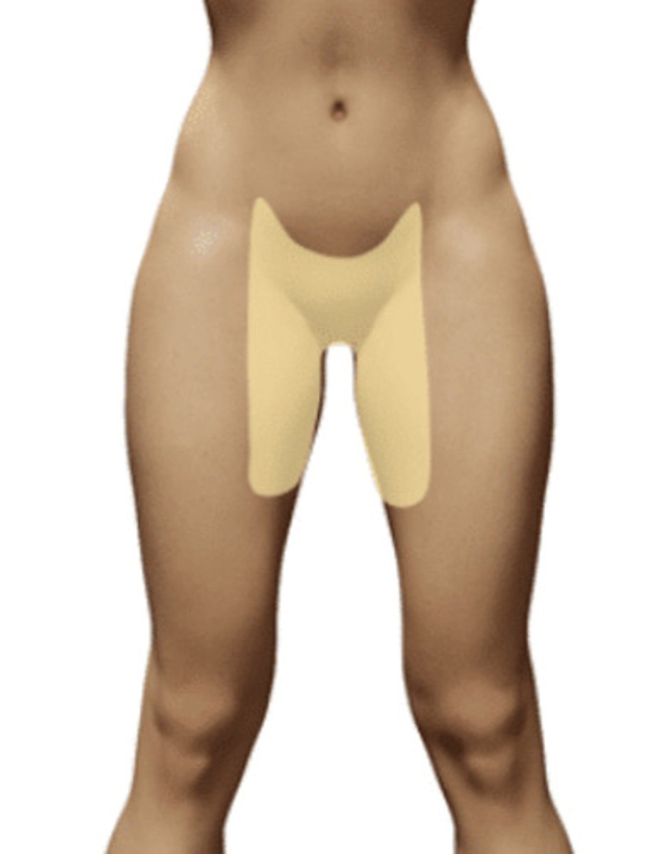 <p>groin</p>