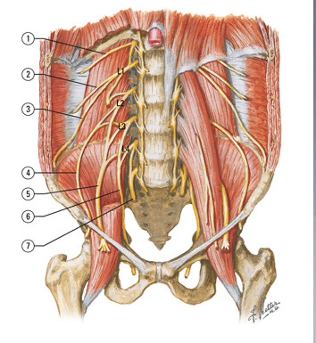 <p>4</p>
