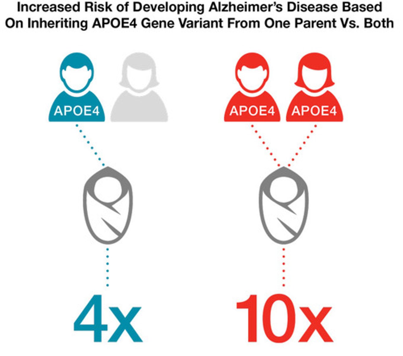 <p>a trait that is influenced by genetic causes. For example, how you look is partly determined by your genetics.</p>