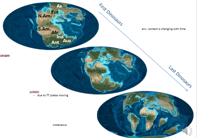 <ul><li><p>found <strong>on every continent</strong></p><ul><li><p>'Cause only lived on land</p></li><li><p>In their time, the <strong>world was not made into the continents that it is right now</strong></p></li></ul></li><li><p>not just dinosaurs</p></li></ul><p></p>