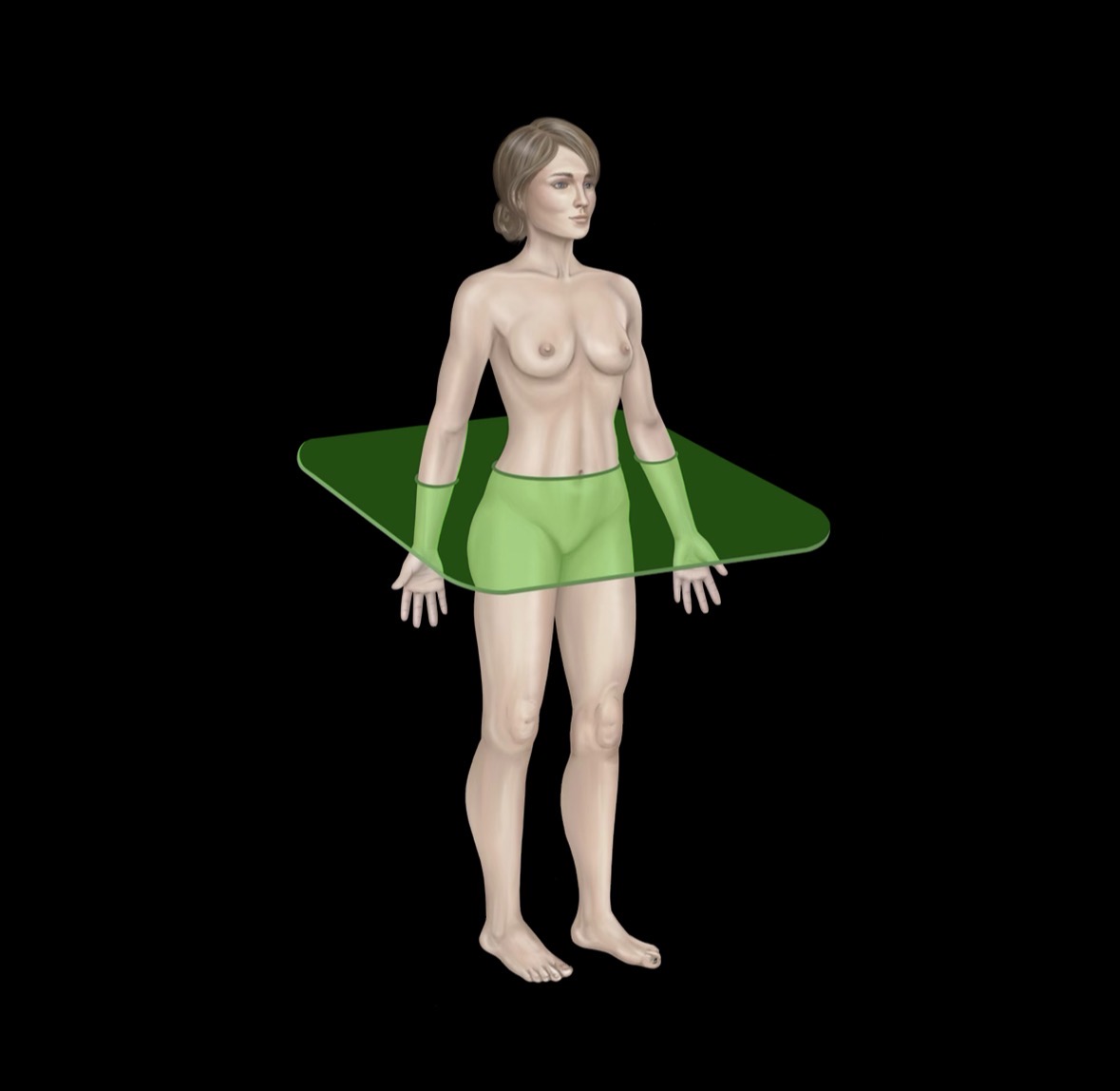 <p>Transverse/Axial Plane</p>