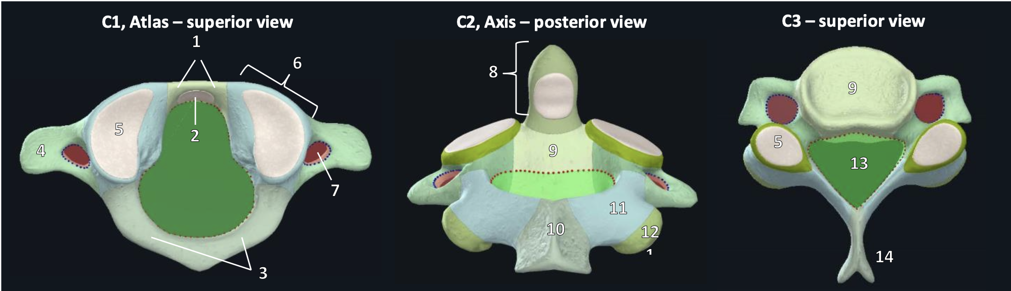 <p>8</p>