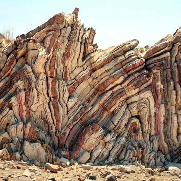 <p>Bends in rock produced by sedimentary rock layers being squeezed by tectonic forces</p><p>Two main types are anticlines and synclines</p><p>Folded rocks are more heavily jointed and fissured so they are more easily eroded</p><p>Increases erosion rates by increasing dip angle</p>