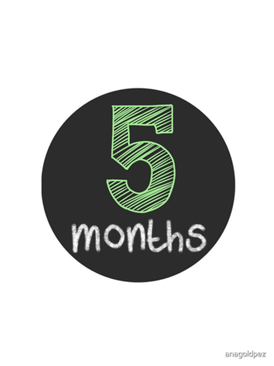 <p>5 months, after which they are replaced.</p>
