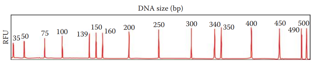 Electropherogram of a synthetic molecular weight size standard, GeneScan™ 500 size standard (Applied Biosystems). RFU, relative fluorescence units.
