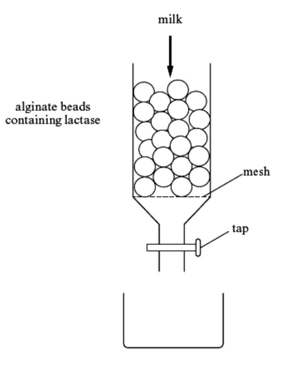 <p>Describe what is happening in this diagram</p>