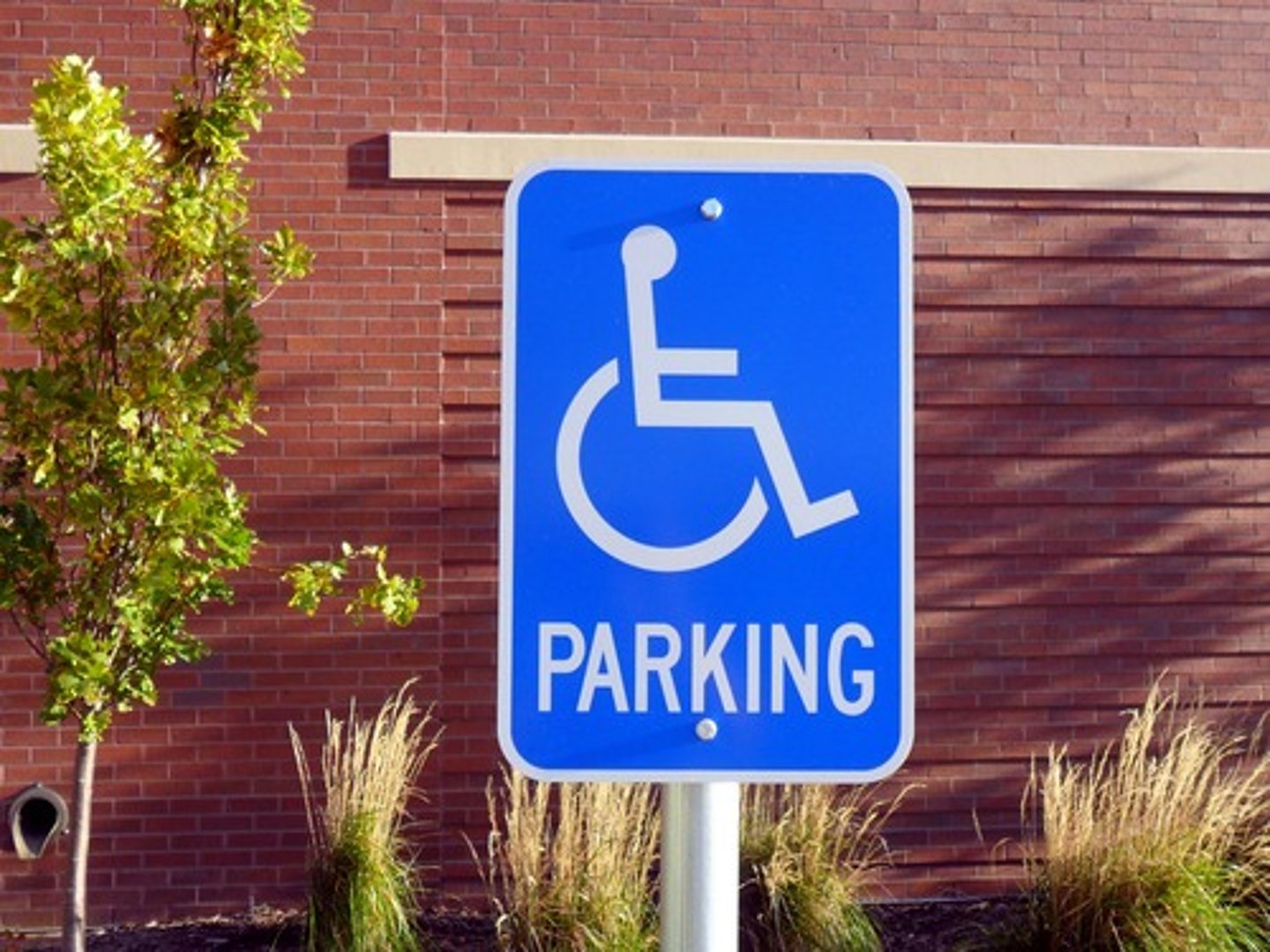 <p>Major anti-discrimination law for disabled; requires access (ramps, braille, etc.); unfunded mandate</p>