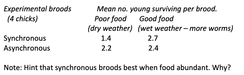 <p>When food is short, asynchronous must be more productive than synchronous?:</p><p>Results: e.g blackbirds</p><p><em>Note: synchronous birds do slightly better when food </em><strong><em>is</em></strong><em> available</em></p><p></p>