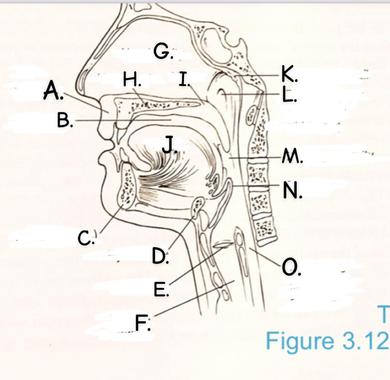<p>J.</p>
