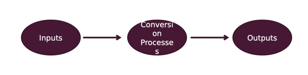 <p>the sequence of activities whereby an organization:</p><ul><li><p>acquires the resources it needs</p></li><li><p>engages in day-to-day operations to use and add value to these resources</p></li><li><p>utilizes its value-added outputs to further its interests</p></li><li><p></p></li></ul>