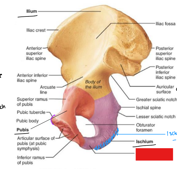 <p>fill in the red box:</p>