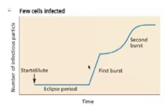 <p>Seules quelques cellules seront infectées, il y aura une première sortie virale exponentielle, qui infectera d’autres cellules, nécessitant une nouvelle période d’éclipse avant une seconde libération virale. </p>