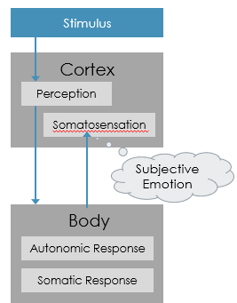 <p>says emotion is just a conditioned response </p><p>core idea is when we perceive some external stimulus and the feeling is perceived by somatosensory cortex, that’s where the subjective experience of emotion comes from</p><p>the response IS the emotion - we are sad BECAUSE we cry, we are angry BECAUSE our face gets red and not the other way around</p>